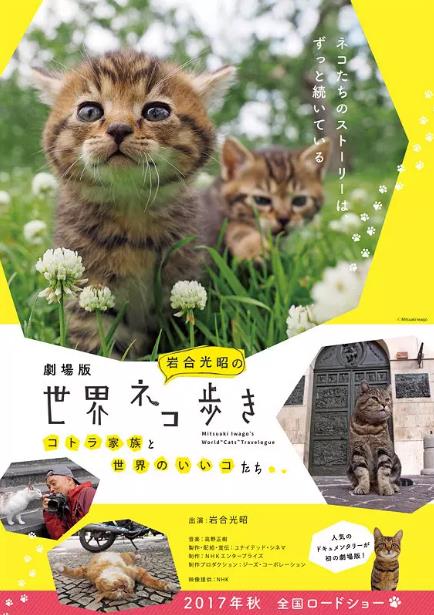 岩合光昭的猫步走世界 劇場版海报剧照