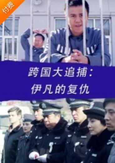 跨国大追捕：伊凡的复仇海报剧照