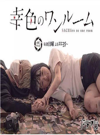 幸色的一居室海报剧照