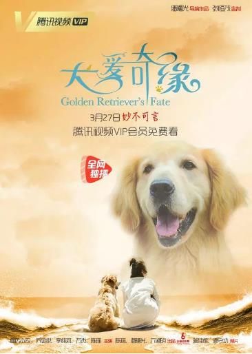 犬爱奇缘海报剧照