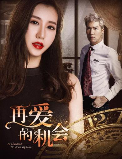 再爱的机会海报剧照