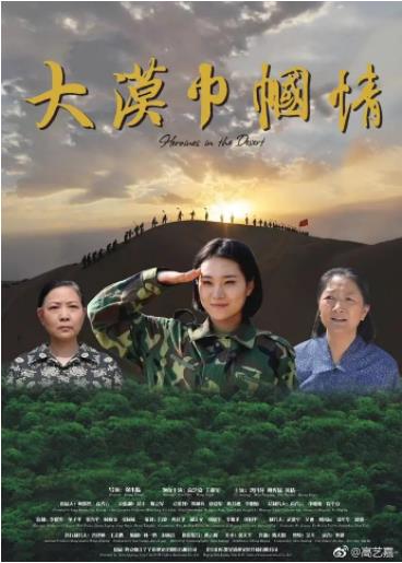 大漠巾帼情海报剧照