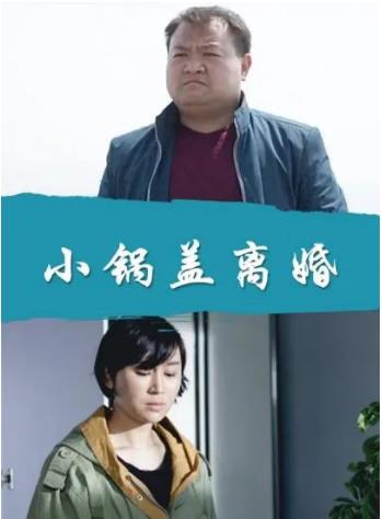 小锅盖离婚海报剧照