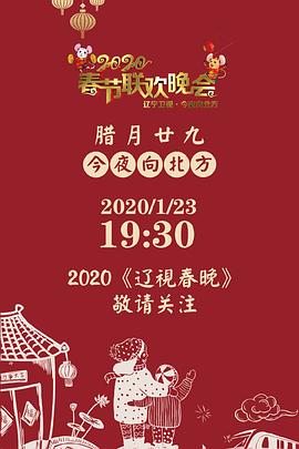 2020年辽宁卫视春节联欢晚会海报剧照