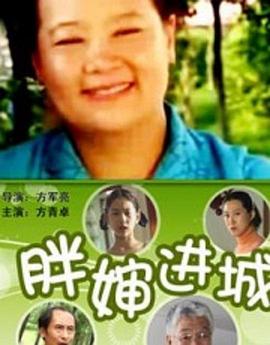 胖婶进城海报剧照
