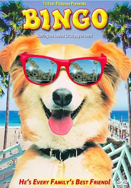 灵犬宾果海报剧照