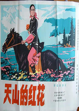  天山的红花海报剧照