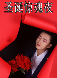 圣诞惊魂夜海报剧照