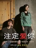  注定爱你海报剧照