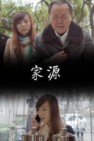  家源海报剧照