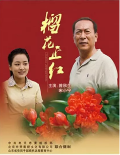 榴花正红海报剧照
