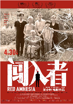 闯入者海报剧照