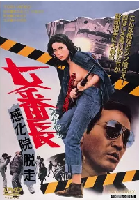 女番长复仇海报剧照