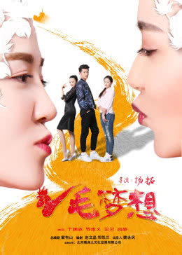  鸡毛梦想海报剧照