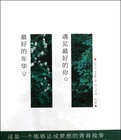  最好的年华最好的你海报剧照