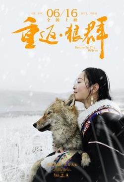  重返·狼群海报剧照