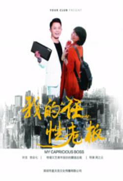   我的任性老板海报剧照