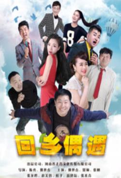 回乡偶遇海报剧照