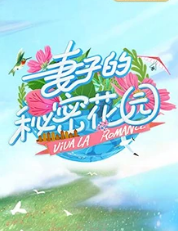 妻子的秘密花园海报剧照