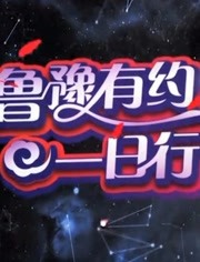  鲁豫有约一日行 海报剧照