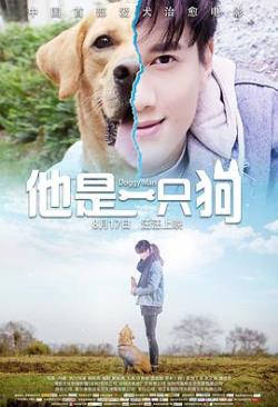  他是一只狗海报剧照