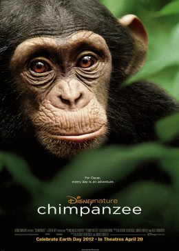 黑猩猩2012-纪录片海报剧照