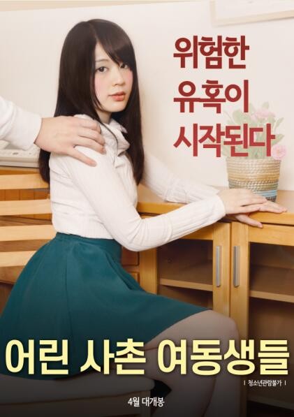 年轻的表妹们海报剧照
