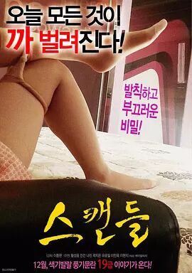 丑闻海报剧照