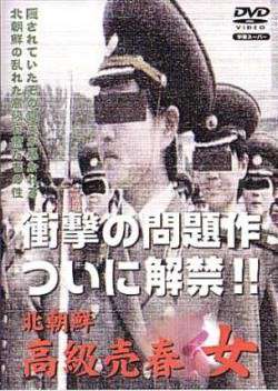 北朝鲜高级卖春女海报剧照
