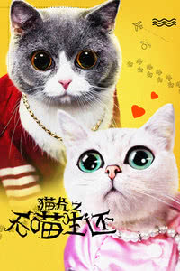 猫片之无喵生还海报剧照