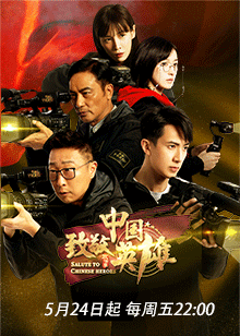 致敬中国英雄海报剧照