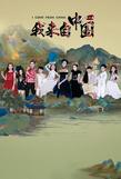 我来自中国海报剧照