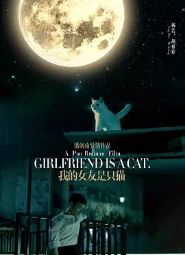 我的女友是只猫海报剧照