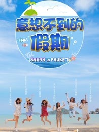 意想不到的假期海报剧照