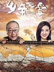 乡亲乡爱 海报剧照
