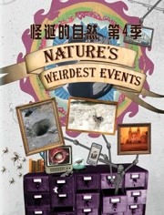 怪诞的自然第四季海报剧照