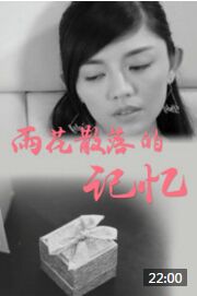 雨花散落的记忆海报剧照