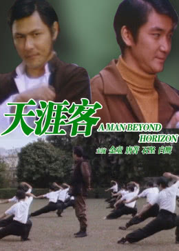 天涯客海报剧照