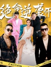 绝命逆袭师海报剧照