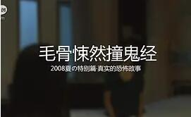 毛骨悚然撞鬼经2008海报剧照