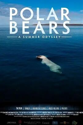 北极熊：一个夏天的奥德赛海报剧照