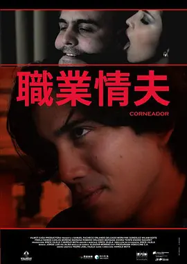 职业情夫海报剧照