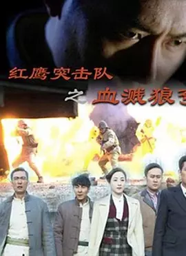 红鹰突击队之血溅狼湾海报剧照