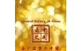 中国通史-马可波罗与中国海报剧照