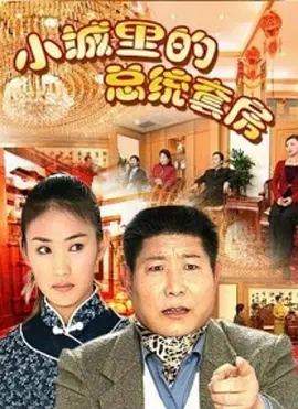 小城里的总统套房海报剧照