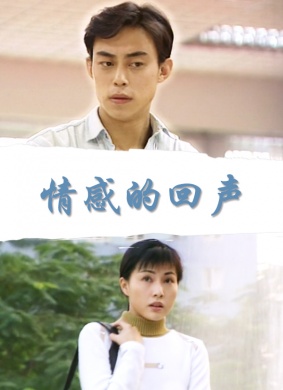 情感的回声海报剧照