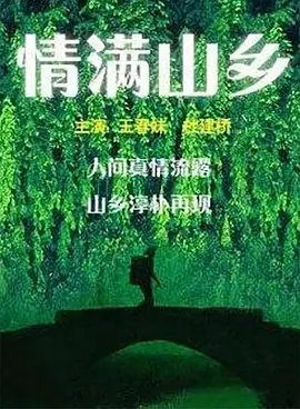 情满山乡海报剧照