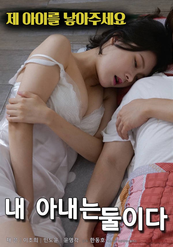 我的妻子是两个海报剧照