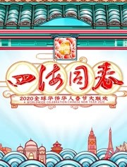 2020湖南华人春晚海报剧照