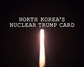 朝鲜核王牌海报剧照